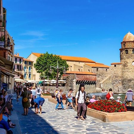 Petit Nid Catalan , 10 Minutes Des Plages Perpignan Exterior photo
